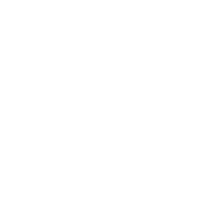 Zambia logo