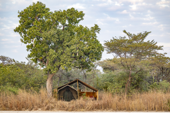 Nkonzi Camp tent