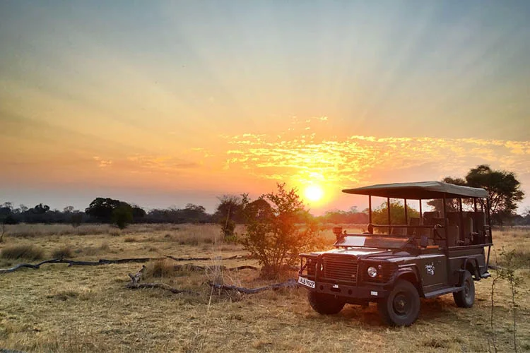 the thumbnail - Unforgettable Safaris in South Luangwa Zambia
