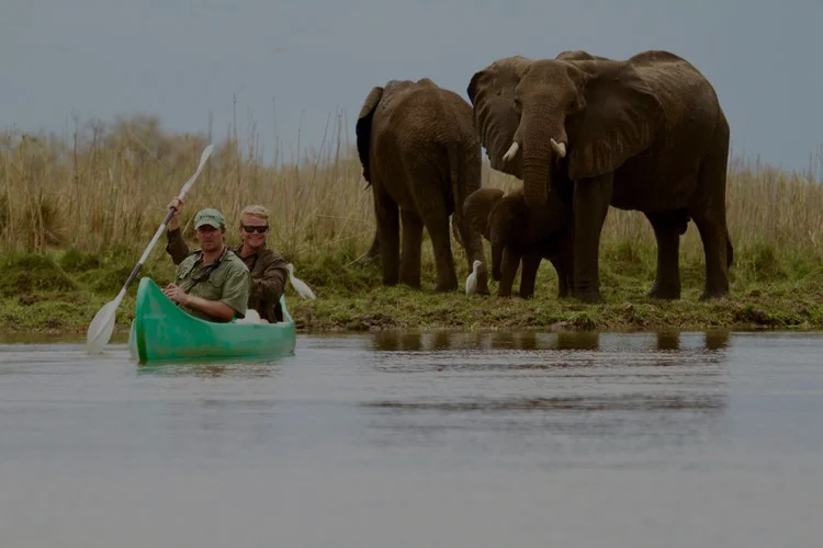 thumbnail - Unforgettable Safaris in South Luangwa Zambia