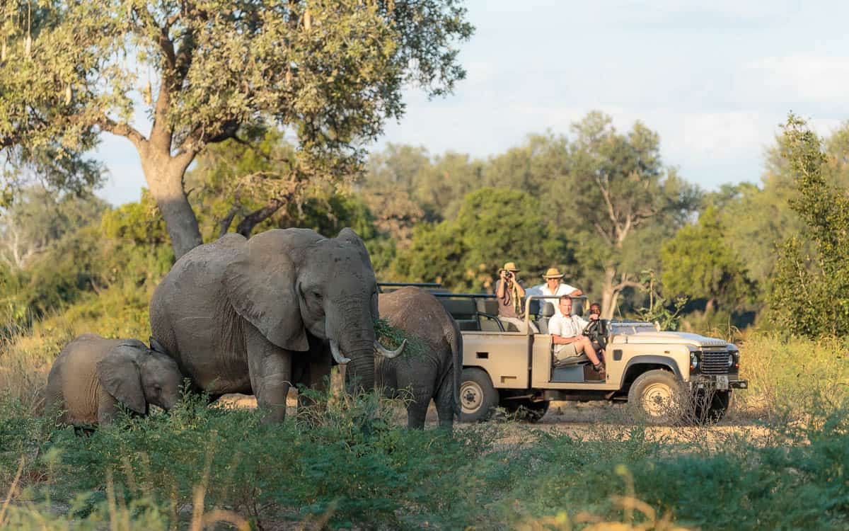 game drive nkonzi camp - Unforgettable Safaris in South Luangwa Zambia