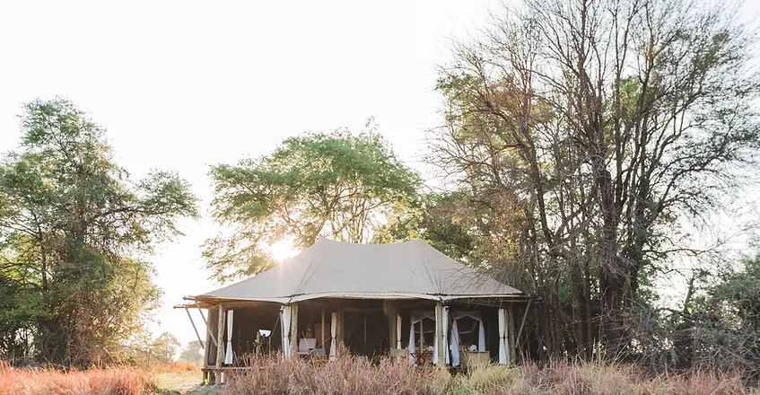 musekese camp - Into the wild safari package